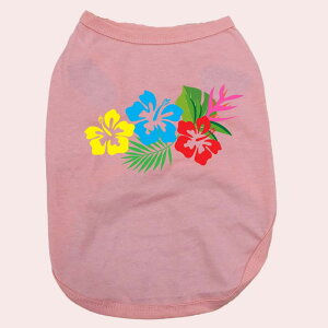 p pRbg^Ngbv@ynCrXJX1zT[t  ^`^ S`XL 8FWJ [֑ yԕiAALZsz