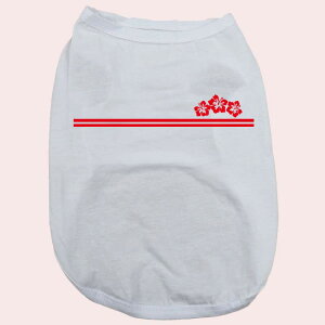 p pRbg^Ngbv@ynCrXJX2zT[t  ^`^ S`XL 8FWJ [֑ yԕiAALZsz