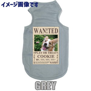 ̖ꁕʐ^vg yWAN!TEDz wz WANTED pfB[ pbV^Ngbv vg hbOEFA ƐeqR[f ^`^ 7FWJ D 낢 tV