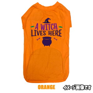 nEBIpTVc A-WITCH-LIVES-HERE  halloween nEB[S  ^`^ 2XL`4XL 4FWJ NR[f [֑yԕiAALZsz
