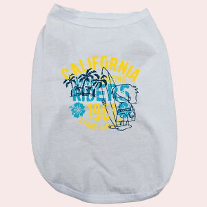 p CALIFORNIA 1961 pRbg^NgbvI  ^`^ 2XL`5XL 8FWJ [֑ WANS PRINT/YvgyԕiAALZsz