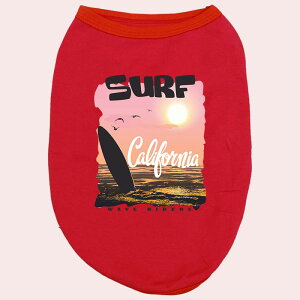 p SURF CALIFORNIA pRbg^NgbvI  ^`^ S`XL 8FWJ [֑ WANS PRINT/YvgyԕiAALZsz