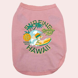 p SURFING HAWAII pRbg^NgbvI  ^`^ S`XL 8FWJ [֑ WANS PRINT/YvgyԕiAALZsz