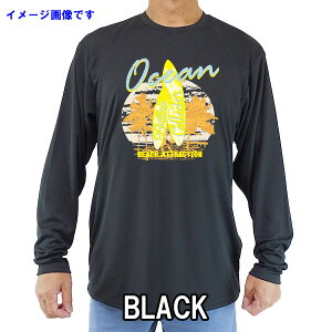 jp TVc^CvbVK[h T[tTVc Y/fB[X UPF50+ yOCEAN BEACH ATTRACTIONz T[tB[h IWi jp UVJbg [ԕiAyуLZs]