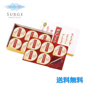 _˃v 10 _  yY IWiܕt 񂹃XC[c yY  