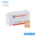 東洋レヂン ソマニクス ソマレゾン L 100個入 一般医療機器 緩和マイクロコーン 血行 ツボ 灸 SOMARESON