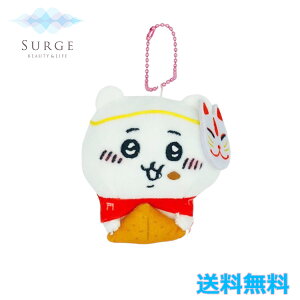  s  n ʂ L[`F[ LN^[ 킢 Ki