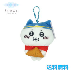  s  n` n ʂ L[`F[ LN^[ 킢 Ki