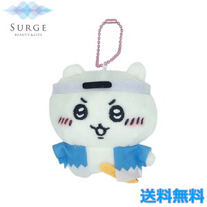  s VIg n ʂ L[`F[ LN^[ 킢 Ki