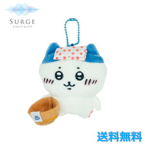   n` n ʂ L[`F[ LN^[ 킢 Ki