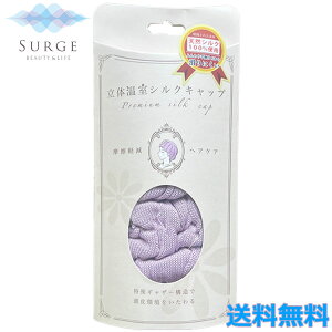   VNLbv iCgLbv wAPA VN100 wAoh