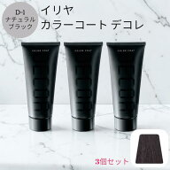【3個セット】 イリヤ カラーコート デコレ D-1 ナチュラルブラック 160g IRIYA COLOR COAT DECOR ヘアマ…