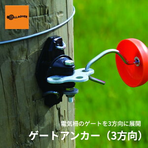 ydC Q[gzQ[gAJ[i3j | Q[g qn phbN p ؒt X`[ ϋv^