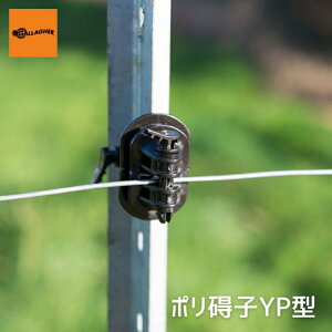 ydCKCVzKK[ |VqYP^ | dC ≏ | Y|Xgp