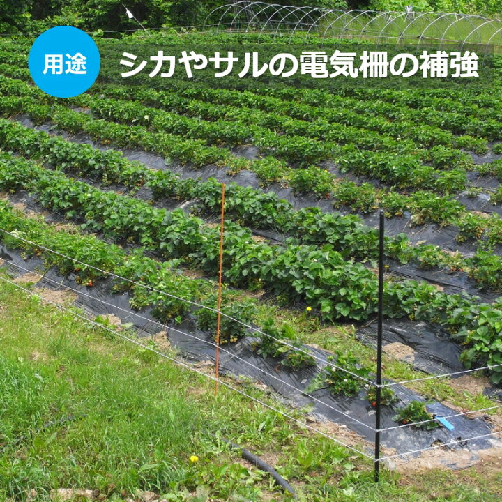 楽天市場】【電気柵】 樹脂ポール 2100mm | FRP 支柱 軽量・錆びない 