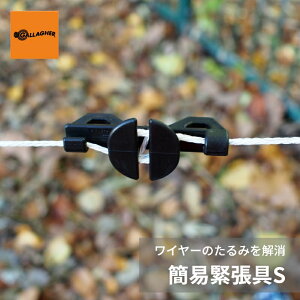 ydC C[݂̂ C[z ȈՋْS | dq d dC  eiX Ǘ