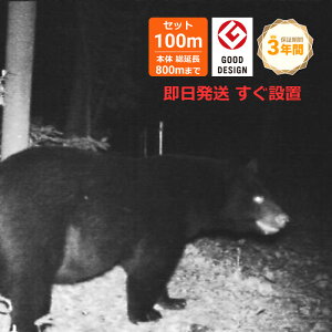 y̕⏕Ώہzy{3Nԕۏ؁zKK[ dC N} STOP!Cg 100m \[[Zbg yObhfUC܁z|[dlEZT[t a v[g h hV̓ 60 70