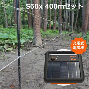 y̕⏕ΏہzKK[ dC \[[ԕ S60x 400m2i Zbg yObhfUC܁z|[dlEZT[ty{3Nԕۏ؁z a v[g h hV̓ 60 70
