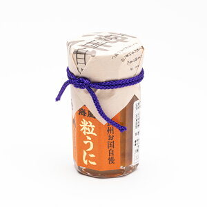 C 55g AR[Ђ  hV̓ ̓ Ε  C