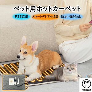 ybgpzbgJ[ybg ybgp zbg}bg ybgdCѕz ybgxbh ybgpq[^[}bg   L g  g ybgq[^[ L h xߓdM}bg PESF