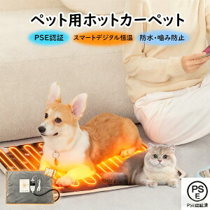 y10{|Cg27܂Ł`ubNtCf[zybgpzbgJ[ybg ybgp zbg}bg ybgdCѕz ybgxbh ybgpq[^[}bg   L g  g y