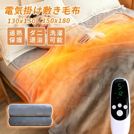 電気毛布 洗える 掛け敷き ふわふわ毛布 タイマー付き 抗菌防臭 ダニ退治 自動電源オフ 丸洗い ダブル 2人 掛け 電気ひざ掛け 肩掛け 膝掛け 電気ブランケット もこもこ ふわもこ 防寒 省エネ 敷きフランネル 丸洗い 均加熱