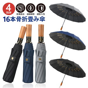 ܂肽ݎP ^b` JP J ɋ 16{  肽ݎP Y 傫 ؐ [|[`t ^Cv  16{ J J ؐnh ui̖  g y 