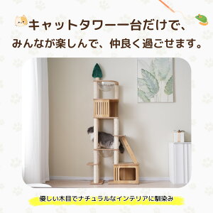 Lbg^[ ؐ VR 153cm u B 艺肵₷ Lbg^[ ܂Ƃ Lxbh SS ybgpi ؐ G߂킸 W] 