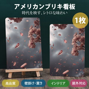 AJ uLŔ g EH[fR Be[WX^C ^v[N |X^[ K[W Lb` o[ pu 1 (20*30cm)