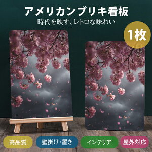 �A�����J�� �u���L�Ŕ� ���g�� �E�H�[���f�R ���B���e�[�W�X�^�C�� ���^���v���[�N �|�X�^�[ �K���[�W �L�b�`�� �o�[ �p�u 1�� (20*30cm)