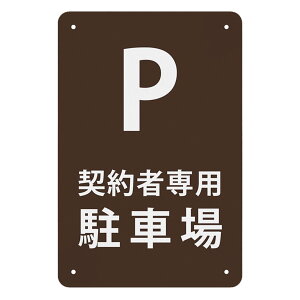 _ҐpԏP ό󐫋v[g 30*20cm Ŕ v[g  WŔ W TCv[g OΉ y h tȒP