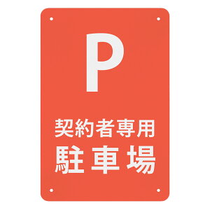 _ҐpԏP ό󐫋v[g 30*20cm Ŕ v[g  WŔ W TCv[g OΉ y h tȒP