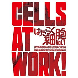 DVD / TVアニメ / はたらく細胞 Vol.1 (DVD+CD) (完全生産限定版) / ANZB-14701