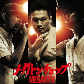 楽天市場 Megaryu 夜空に咲く花 アルバムの通販