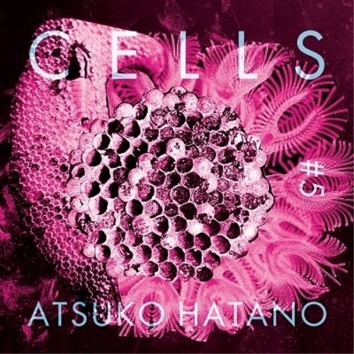 CD Cells #5 Atsuko 蔵 波多野敦子 TRL-5 春の新作シューズ満載 Hatano