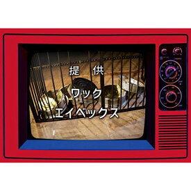 CD / 豆柴の大群 / まめジャー! (CD+2Blu-ray(スマプラ対応)) (初回生産限定盤) / AVCD-96626