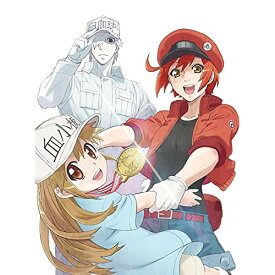 BD / TVアニメ / はたらく細胞!! Vol.1(Blu-ray) (Blu-ray+CD) (完全生産限定版) / ANZX-14971