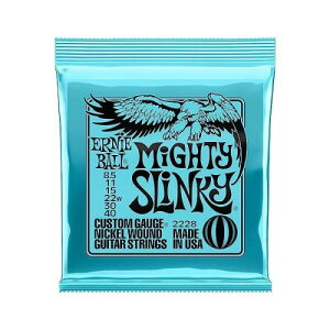 ERNIE BALL 2228 GLM^[ (8.5-40) MIGHTY SLINKY }CeB[EXL[