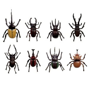 �y���������z �ŋ��I �����`���I�I�}���J�������