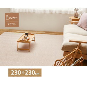 ���O �J�[�y�b�g �u���E���@��230×230cm �􂦂�w�����{�����O�@�{�[�i�@�@ �y�k�C���E����E���� �����ʁz