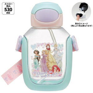 yz  fBYj[vZX 530ml XP[^[(Skater)