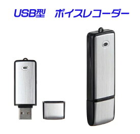 【定形外送料無料】USB型ボイスレコーダー　4GB内蔵/USBメモリ/大容量/長時間録音/携帯便利/操作簡単/8GBへアップ可能/ICレコーダー/ボイスレコーダー 小型 vr01