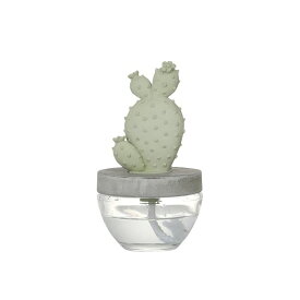 DULTON ダルトン CACTUS FRAGRANCE DIFFUSER カクタス フレグランス ディフューザー