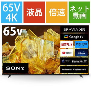 ݒu XRJ-65X90L \j[ 65^4K`[i[ LEDter BRAVIA 4548736148819