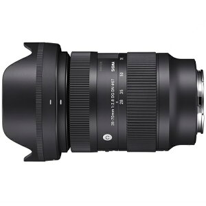 28-70mm-F28-DG-DN VO} SIGMA Y[Y ~[XpY tTCYΉ \j[E}Eg