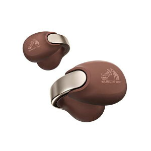 HA-NP1T-T Victor �r�N�^�[ ���S���C�����X�C���z�� �C���[�J�t�^ Bluetooth�Ή� �}���[��