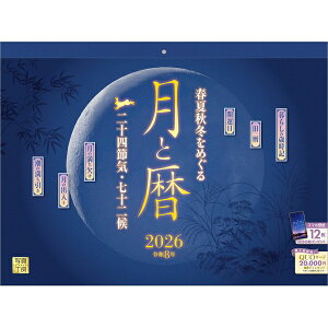 y݁zy񏤕iz 2026NJ_[Ɨ \lߋCE\26CL-C-11[9/1]