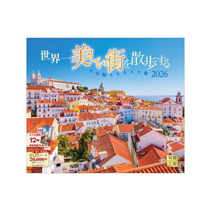 y݁zy񏤕iz 2026NJ_[EXUi^TCYj26CL-D-01[9/1]