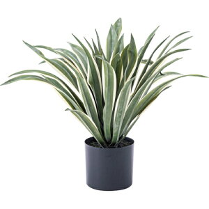 JtFCNO[ AKx (O[) (W63×D63×H50)yikCEꑗʁjz