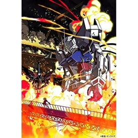 【取寄商品】BD / TVアニメ / 機動戦士ガンダムSEED HDリマスター Complete Blu-ray BOX(Blu-ray) (特装限定版) / BCXA-1701